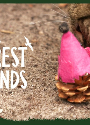 Forest Friends Mouse Rood