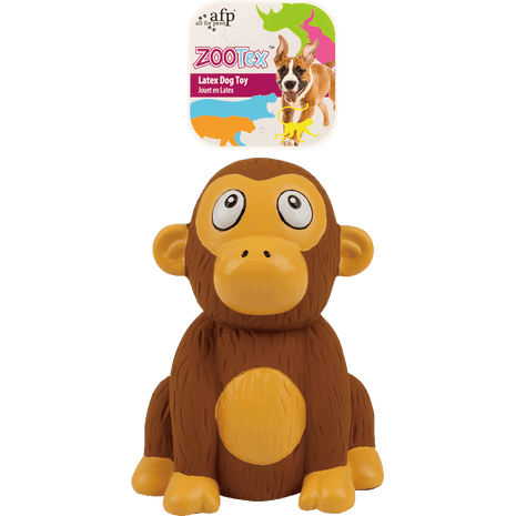 AFP ZooTex Chistopher Chimp
