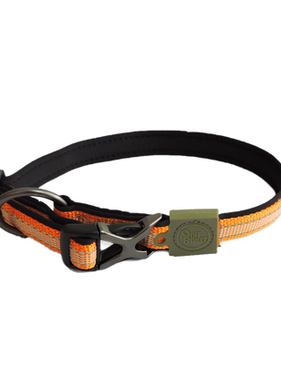 AFP Off Street - Dog Collar Mandarijn