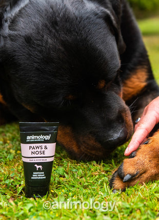 Animology Paws & Nose Balm 50 ml