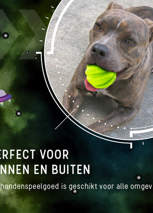 Dog Comets Hale Bopp Met Touw Groen