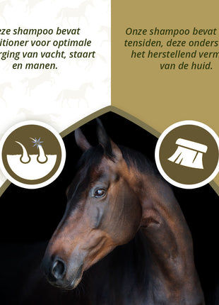 Excellent Horse Hi Gloss Shampoo Rose 500 ml