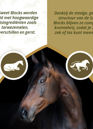 Excellent Horse Sweet Blocks Eucalyptus