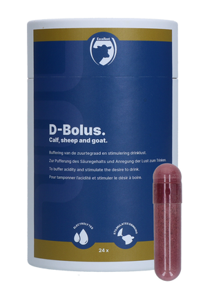 Excellent D-Bolus (Bicarbonaat)
