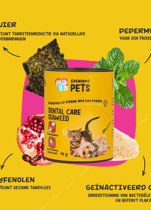 Dental Care Seaweed