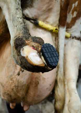 Excellent Easy Hoof Block PVC plastic - 11 cm