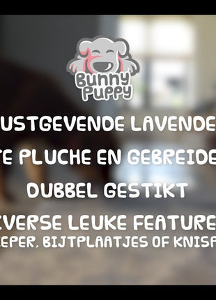 Bunny Puppy Ropey Swing