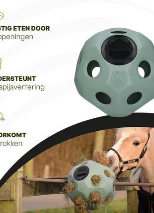 Excellent Horse Feed & Play Ball Groen