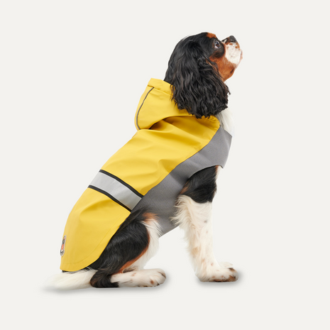Goo-eez Reflective Hooded Raincoat Geel/Grijs