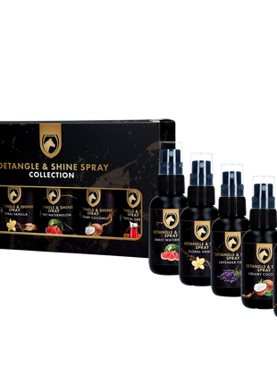 Detangle & Shine Spray Geschenkset 5 x 50 ML