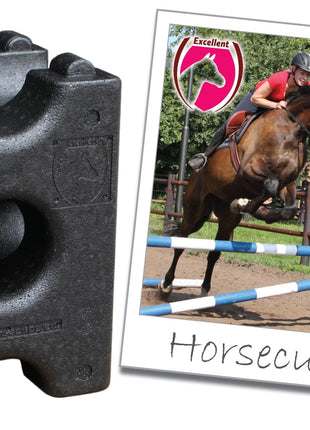 Excellent Horse Cube