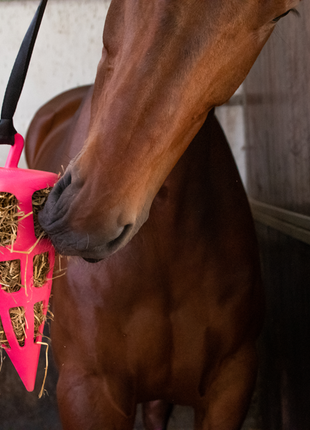 Hay Slow Feeder Fun & Flex Carrot Roze