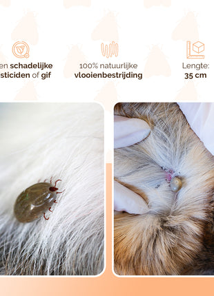 Knock Pest Vlooien/Tekenband Kat 33 cm NL/FR