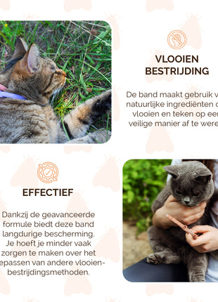 Knock Pest Vlooien/Tekenband Kat 33 cm NL/FR