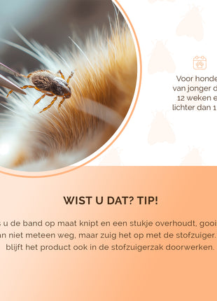 Knock Pest Vlooien/Tekenband Hond NL/FR