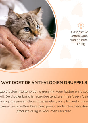Knock Pest vlooien-tekenpipet Kat DE/UK