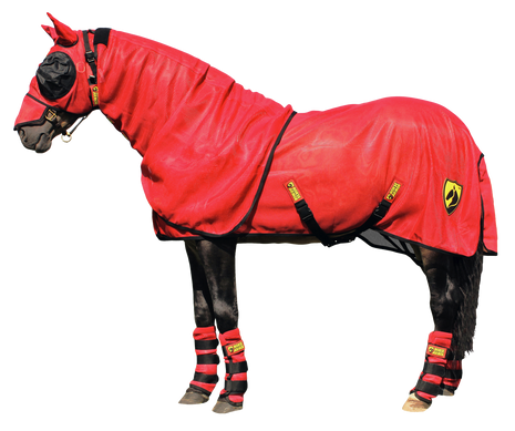 Horse Armor Knockdown Vliegendeken