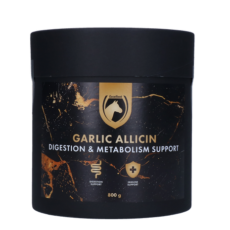 Excellent Horse Garlic Allicin Powder 800 g
