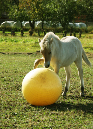 Maximus Power Play Ball