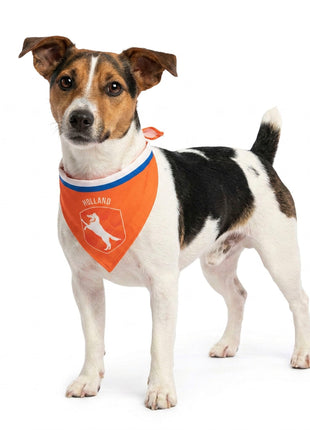 Oranje Bandana Holland