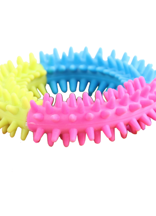 Pawise Rainbow World Ring