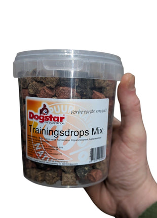 Dogstar Colour Mixtrainers