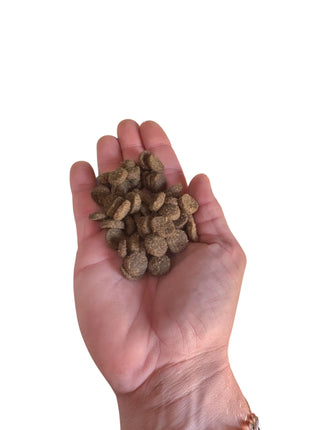 Acana Classic Red Hondenbrokken - Complete voeding met lam, rund en varken - 2 kg, 9,7 kg, 14,5 kg