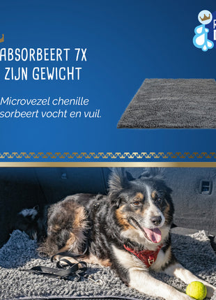 Royal Dry Knoeimat Voor Honden En Katten