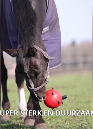 Excellent Horse Fun Play Ball Blauw