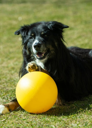 PROCYON Treibball Größe S