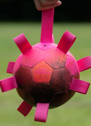 Dog Comets Ball Hypernova