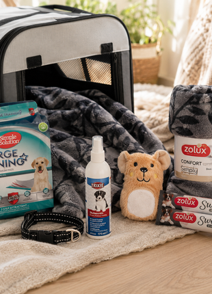 Fidello pack pour aller chercher son chiot – tout ce dont vous avez besoin pour le jour où vous récupérez votre chiot