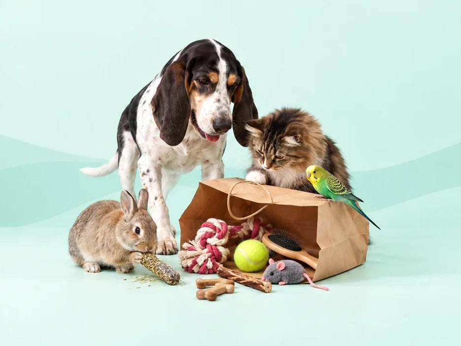 Chien, chat, lapin et perruche avec des produits gratuits dans un sac en papier