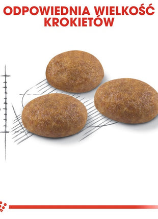 Royal Canin Outdoor karma sucha dla kotów dorosłych, wychodzących na zewnątrz 2kg