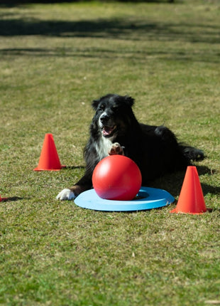 PROCYON Dog Golf Set