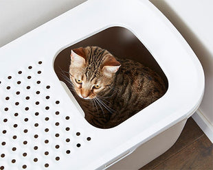 Savic Katzentoilette Hop In
