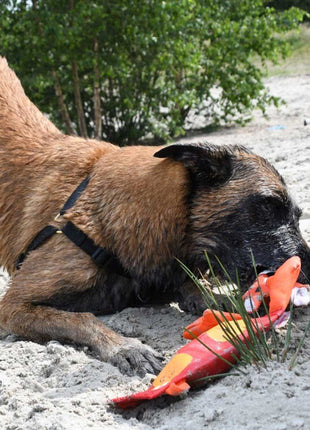 Hozies Sammy Stripes aus Feuerwehrschlauch
