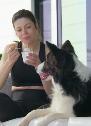 YowUp! L. Casei Immune System Turkey Hond