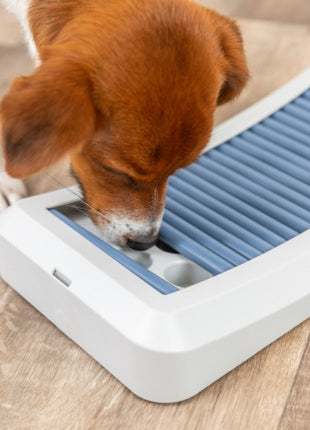 Trixie Dog Activity Rod Board