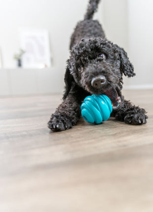 Trixie Super Strong Ball