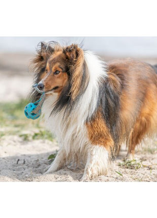 Trixie Wabenball am Seil aus TPE