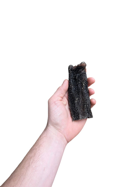 Petsnack Pensstaafjes
