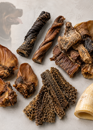 Fidello pack à mâcher pour chiens forts – friandises à mâcher robustes, lot avantageux pour grandes races