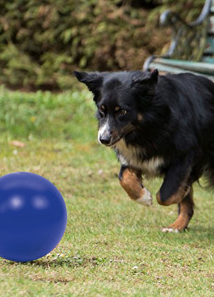 PROCYON Treibball